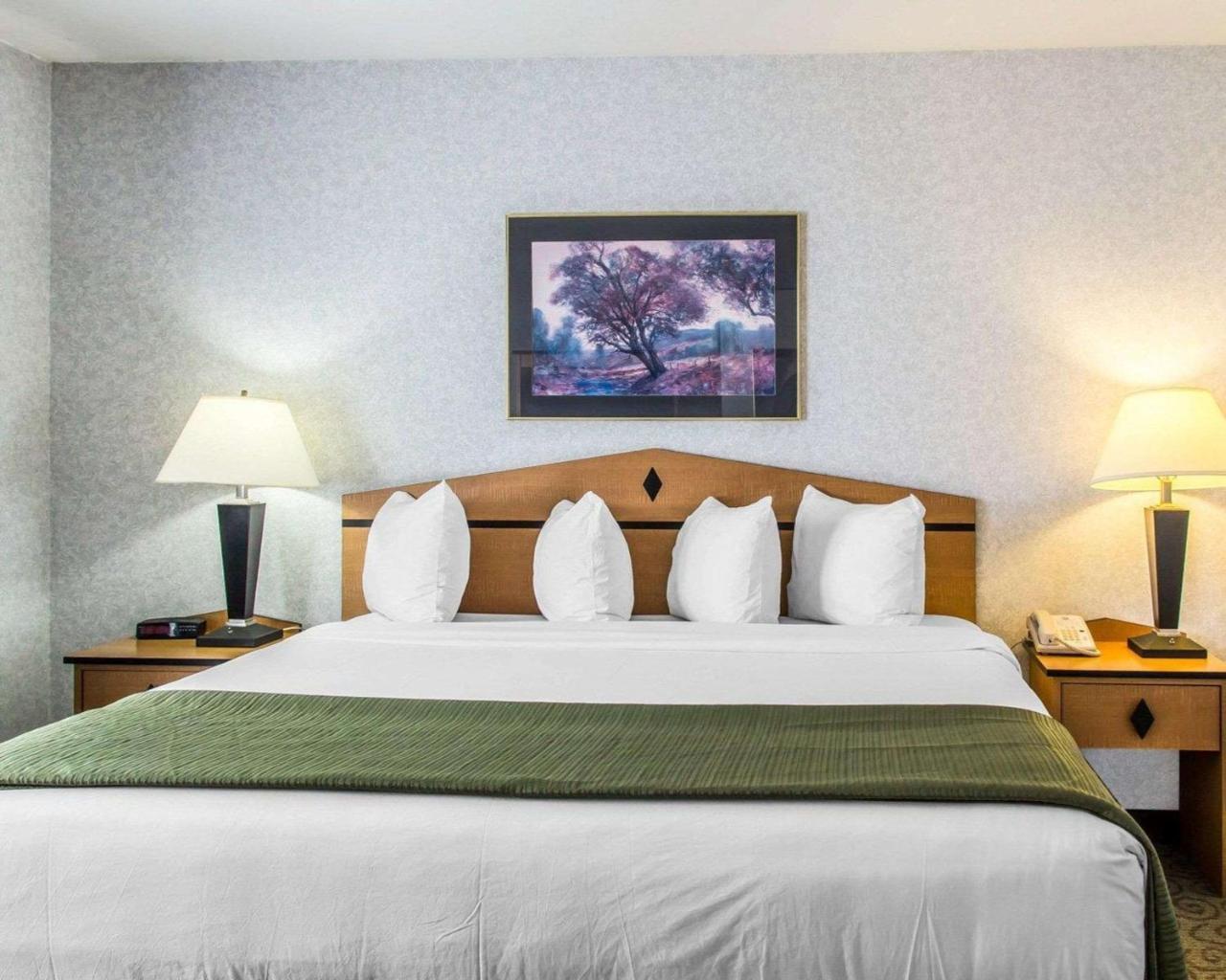 Quality Inn & Suites Denver Airport - Gateway Park Aurora Esterno foto